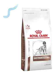 ROYAL PERRO GASTROINTESTINAL 10 KG 